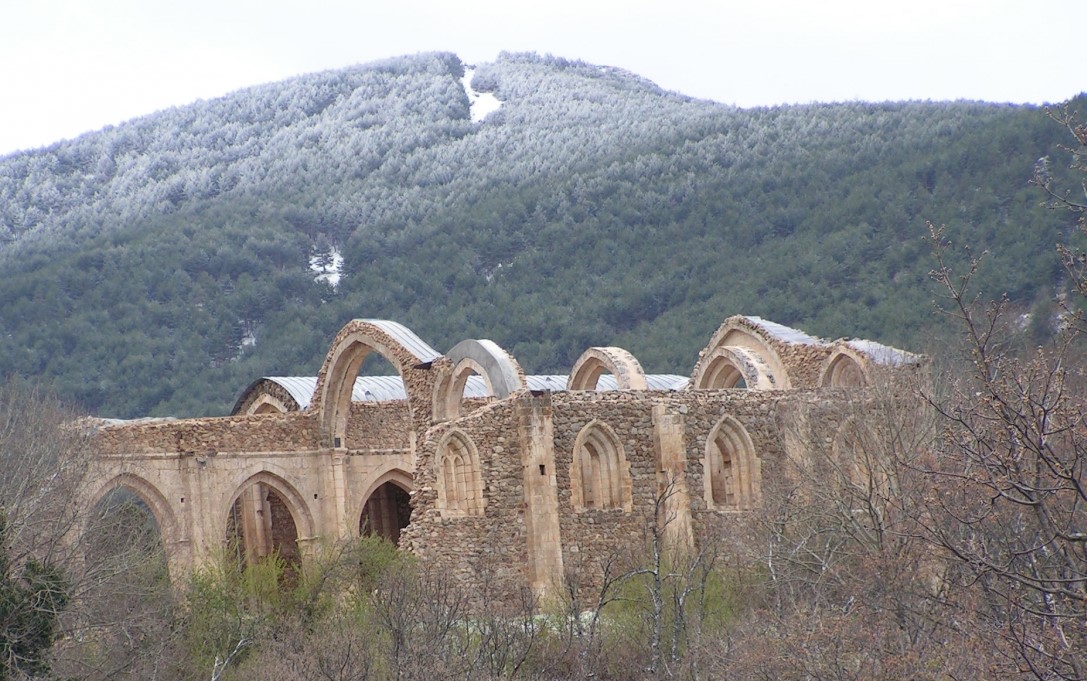 Pinares de Collado Hermoso Geographica Viajes de senderismo y montaña