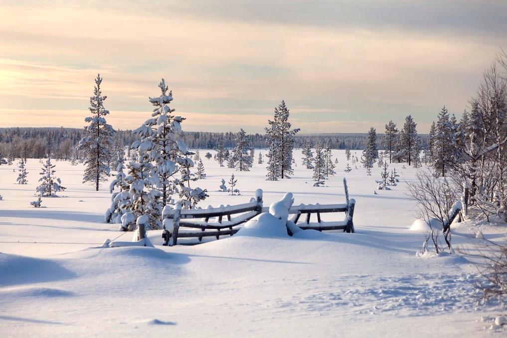 Los Mil Lagos De Finlandia Geographica Viajes De Senderismo Y Monta A