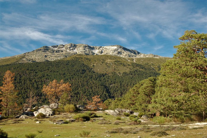 Bosques Y Miradores De La Angostura Geographica Viajes De Senderismo