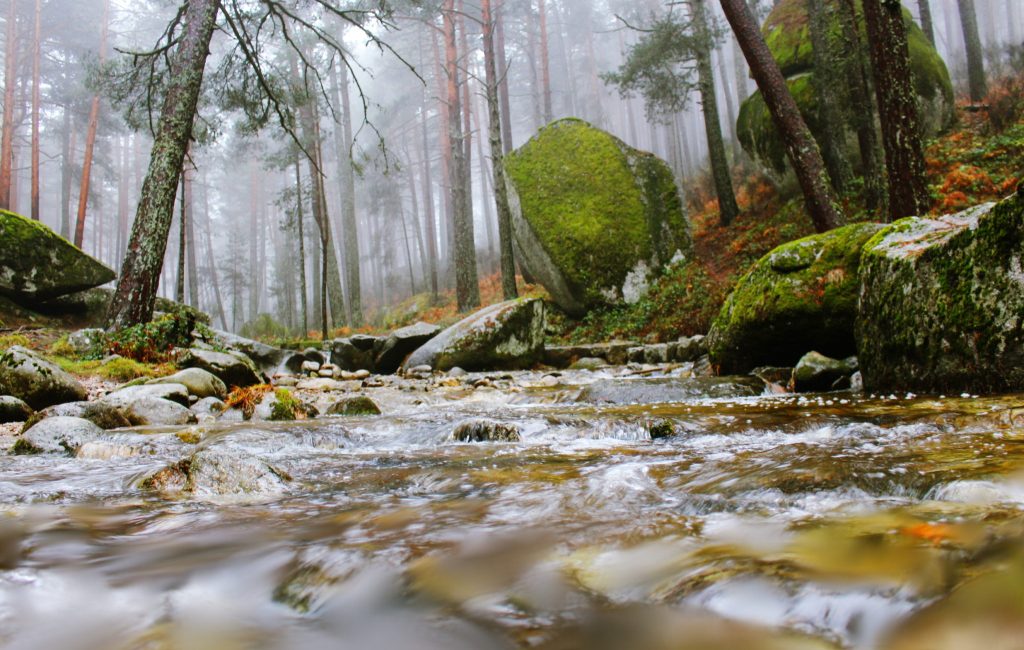 Excursiones desde Madrid: río Eresma