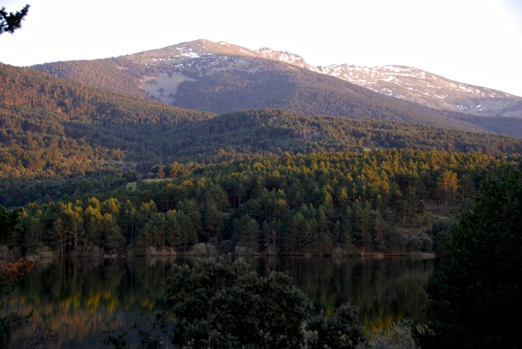 Excursiones desde Madrid: Río Peces