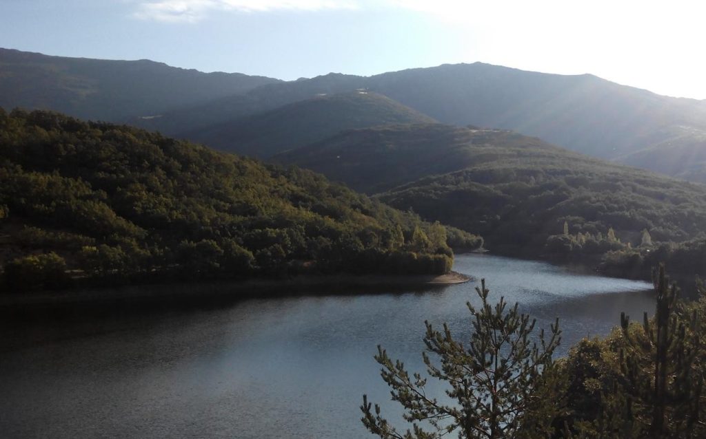 Excursiones desde Madrid: robledal de Riofrío