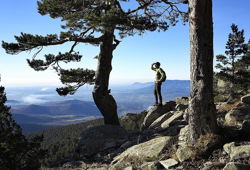 Excursiones desde Madrid: la Senda Herreros.