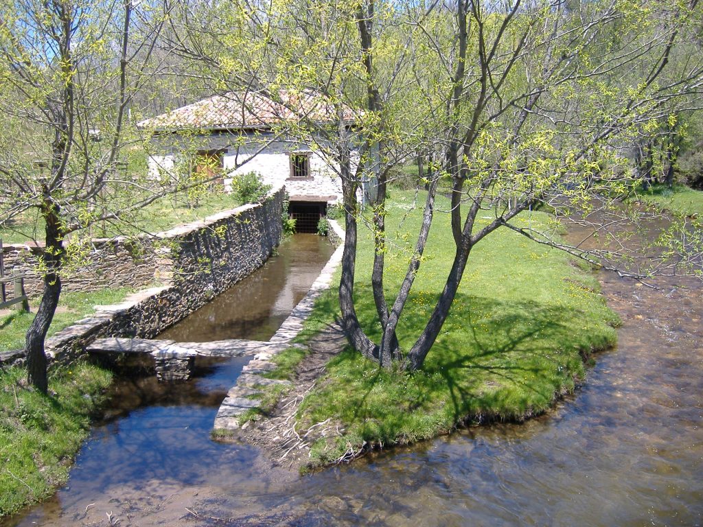 Excursiones desde Madrid: senda del Jarama