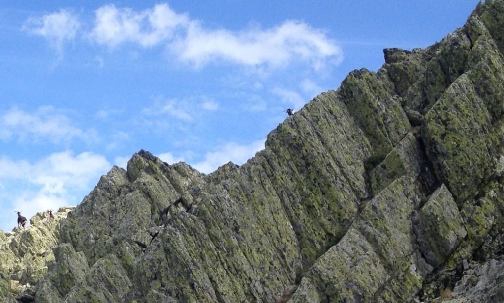 Excursiones desde Madrid: cimas de la Sierra Norte
