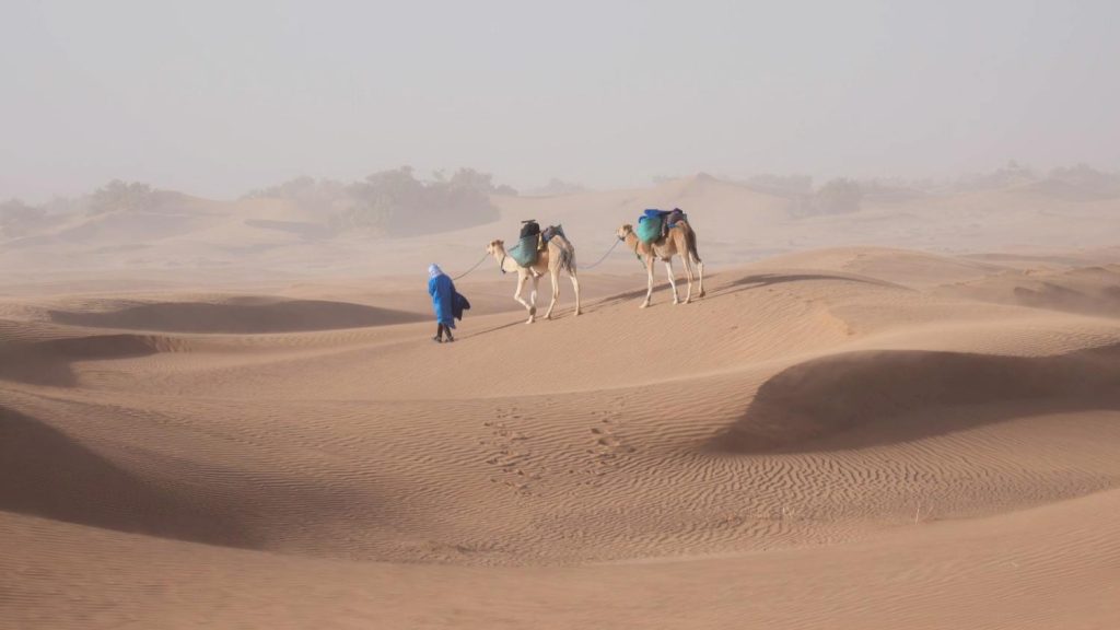 Trekking en el Sahara